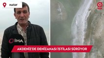 Akdeniz sahillerinde denizanası istilası devam ediyor, Burnaz sahili de denizanalarıyla kaplandı