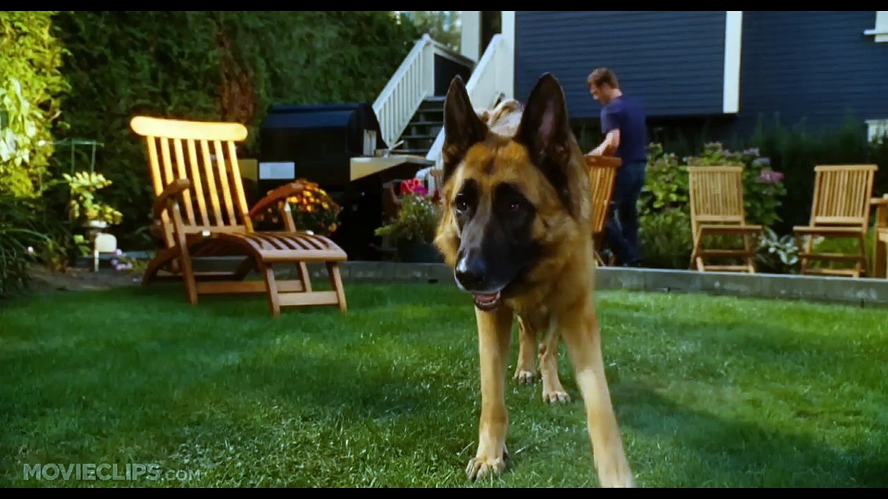 Comme chiens et chats : La revanche de Kitty Galore Bande-annonce (EN)