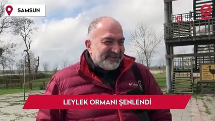 Leylek Ormanı şenlendi: 7 bin kilometre uçup geldiler