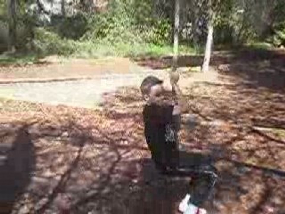 Village des automates