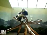 Panda Bailando Hip-Hop !!