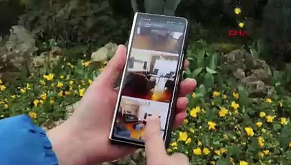 Sosyal medyadaki bu reklam yüzünden dolandırıldı