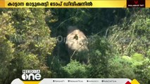 പടയപ്പയെ ഉള്‍കാട്ടിലേക്ക് തുരത്താനുള്ള ശ്രമങ്ങൾ ആരംഭിച്ചു;ഡ്രോൺ ഉപയോഗിച്ചുള്ള നിരീക്ഷണം തുടരുന്നു