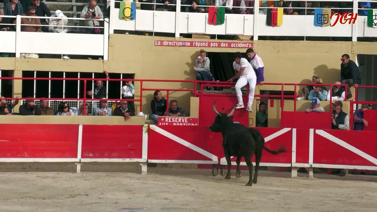 Trophée de la Biche d'Or St Gilles 17 Mars 2024