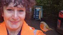 Woman befriends family of robins who now land on her head and sing to her