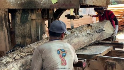 From Beginner to Pro Master the Art of Sawing in Woodworking!