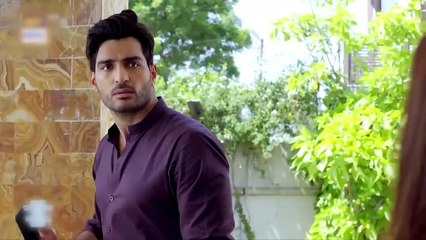 Mere Humsafar Episode 6 | Full Pakistani Drama Episode 🌟