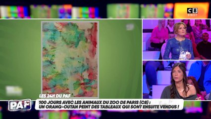 Un orang-outan peint des tableaux dans un zoo !