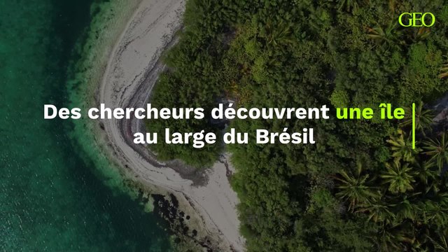 Des chercheurs découvrent une île au large du Brésil
