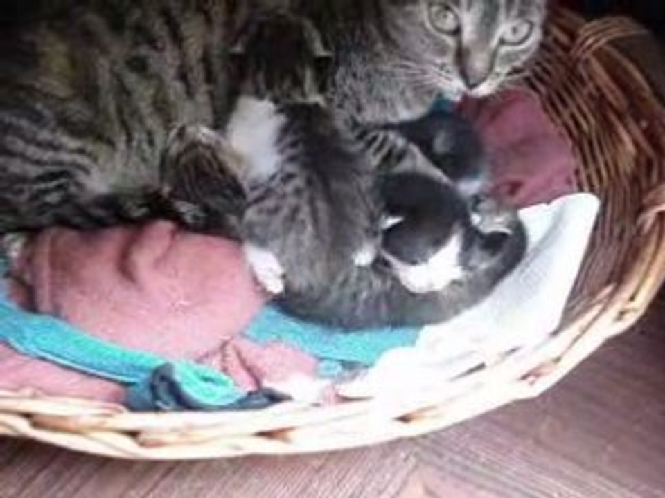 piccoli con mamma