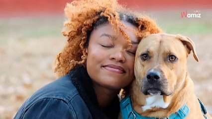 Elle adopte un Pitbull : face aux regards des passants, elle décide d’agir pour l’aider