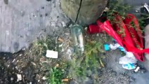 Video posterior al granadazo y balacera afuera de Bar Butter, Guadalajara