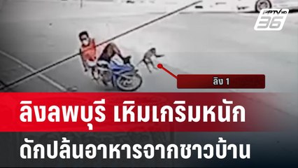 ลิงหิว! โดดซ้อน จยย.กระชากถุงกับข้าว รถล้มคว่ำ | เข้มข่าวค่ำ | 19 มี.ค. 67