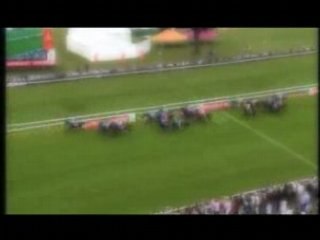 Propriétaire Ecurie de Chevaux - Réaliser votre rêve