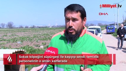 Sokak köpeğini süpürgesi ile kaşıyıp sevdi; temizlik personelinin o anları kamerada