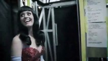 Sueños de California Katy Perry Tour 2011