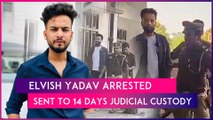 Elvish Yadav Arrested In Snake Venom Case, YouTuber Sent To 14 Days Judicial Custody