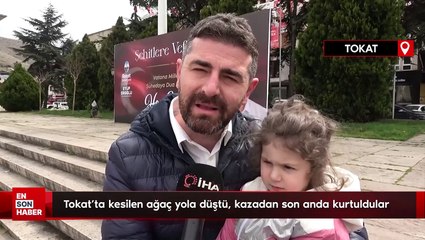 Tokat'ta kesilen ağaç yola düştü, kazadan son anda kurtuldular