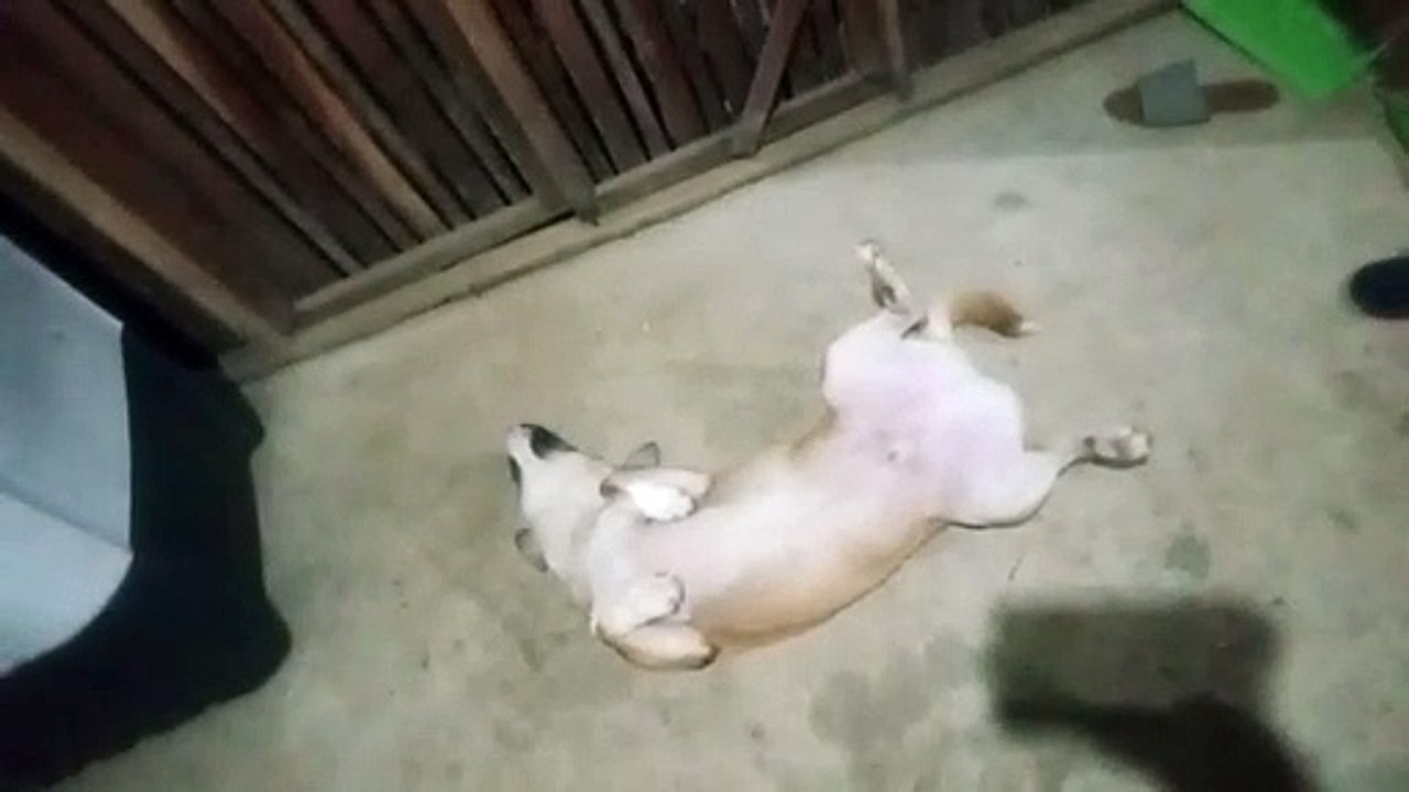 ryver's tummy exposed