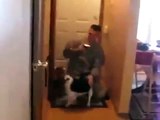 Soldado americano recibe muchisimo amigos de sus perritos