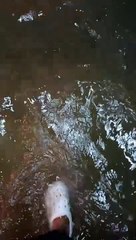 BAHA adventures sa Manila