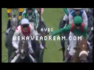 Propriétaire Ecurie de Chevaux - Réaliser votre rêve