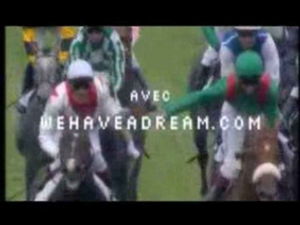 Propriétaire Ecurie de Chevaux - Réaliser votre rêve