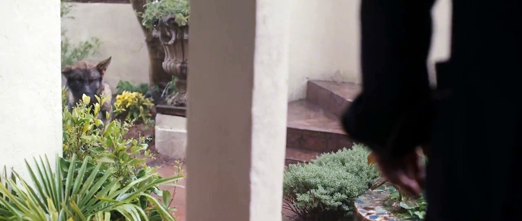 Chien blanc Bande-annonce VF