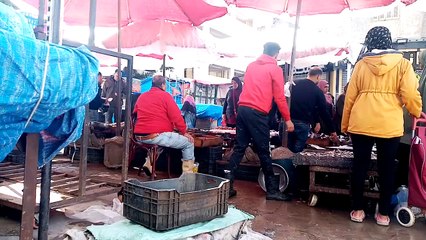 الفيديوالثاني من سوق الاسكندرية -  رصد حركه بيع الاسماك