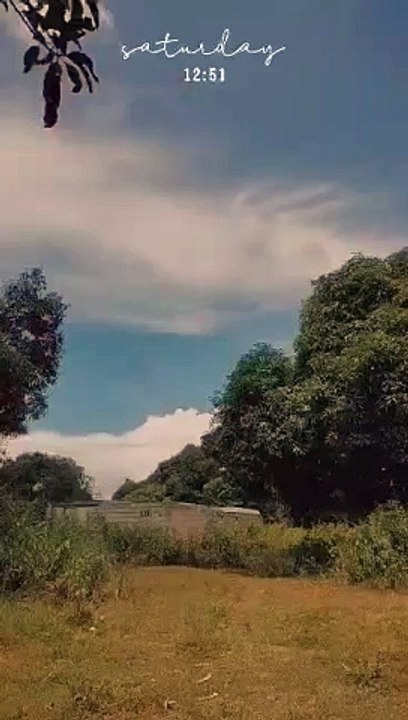 wow nature