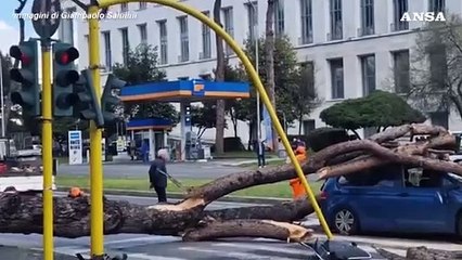 Download Video: Roma, un grosso albero cade su due auto: un ferito