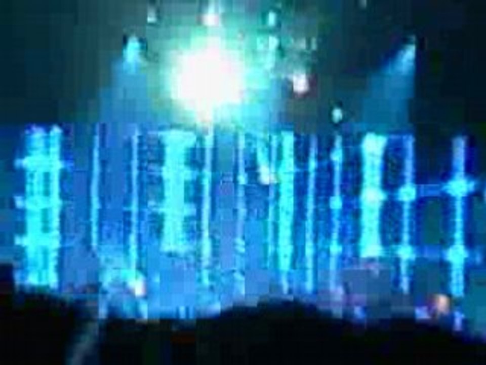 birdy nam nam 2008
