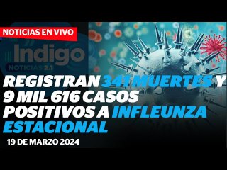 INFLUENZA: 341 personas perdieron la vida en México I Reporte Indigo