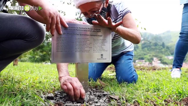 Dos guayacanes rosados conmemoran a las víctimas de feminicidios