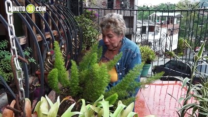 LIGIA AMPARO ROJAS CENTRO VIDA 1