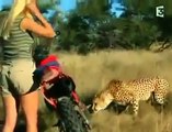 Mujer valiente juega con leopardos