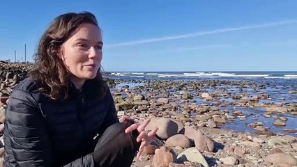 Hay's Way six month walk around Scotland