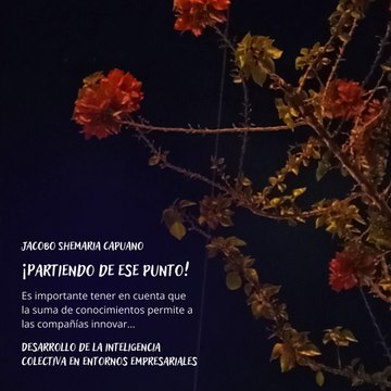 -Jacobo Shemaria Capuano- Desarrollo de la inteligencia colectiva en entornos empresariales: (Parte 1) (Creado por @JacoboShemariaCapuano)
