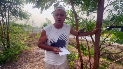 Frank Cuesta a los grandes medios: "Ahora vuestro trabajo es hacerle pajas o mamadillas a los ministros"