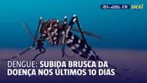 Acompanhe os números da Dengue em Minas Gerais
