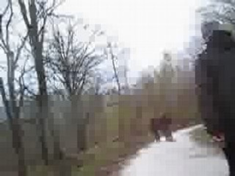 Balade VTT dans le Gros Bois ...