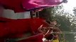 महिलाओं ने खेली फूलों से होली, दी एक दूसरे को बधाई, शहर में होली उत्सव की धूम