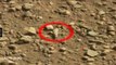 Imagenes de Anomalias capturado en Marte 2012