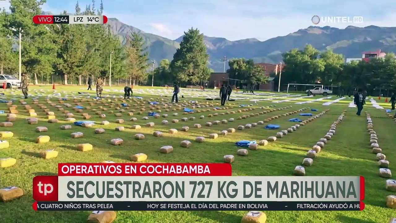 Afectación al narcotráfico supera el millón de dólares tras nueve operativos en Cochabamba