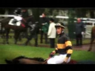 Propriétaire Ecurie de Chevaux - Version Longue