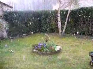 06-04-08 La neige tombe 005