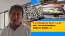 Repunta captura de sierra y de peto en mar de Veracruz, aseguran pescadores