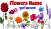learn names of flowers | फूलों के नाम | names of flowers with pictures | learn flowers name,