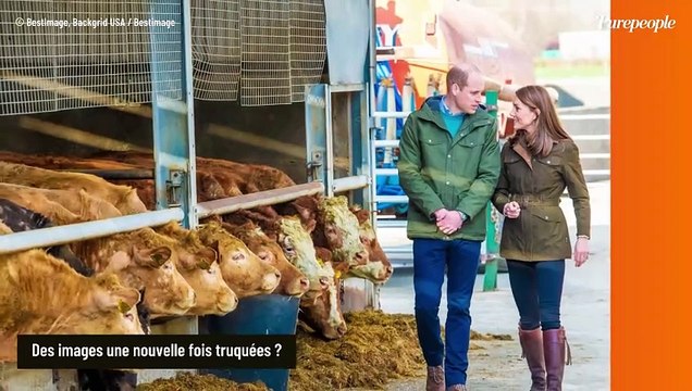 Kate Middleton considérablement amincie : un expert français bien connu des téléspectateurs réagit à la vidéo avec William