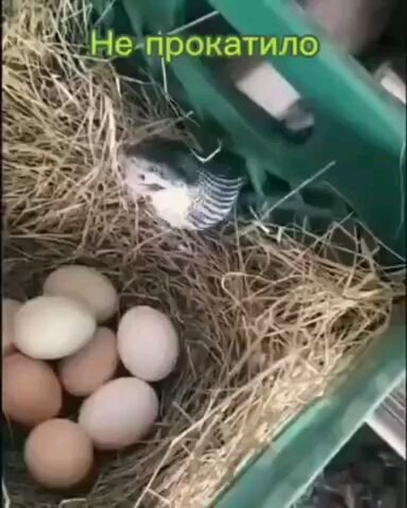 Мое новое видео